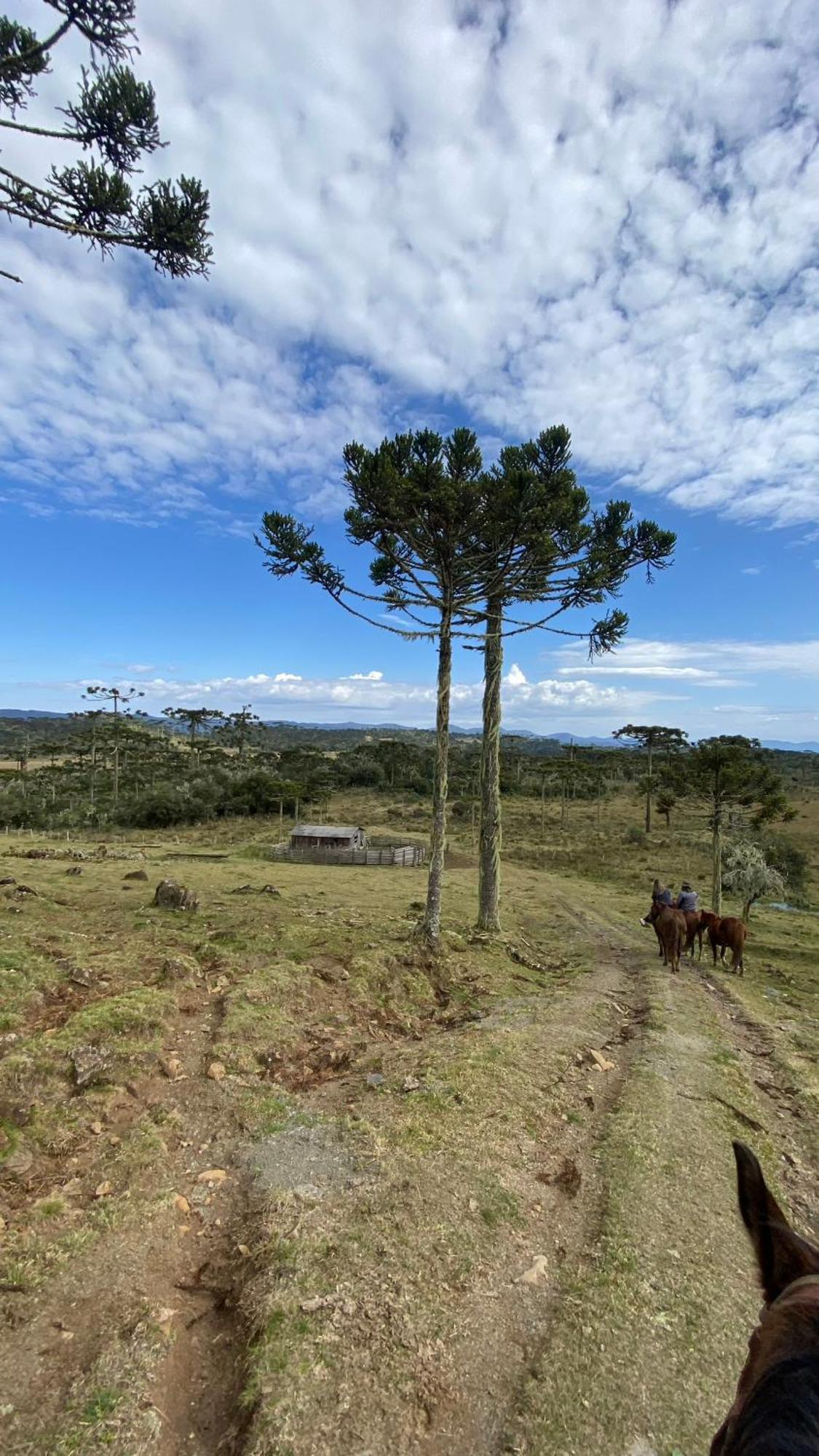Vale Tancon Eco Village Urubici Luaran gambar